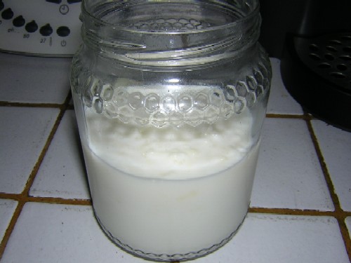 Lo yogurt con i fermenti lattici vivi - L'ABC della cuoca - Gibon Cook -  GIocose BONta`.
